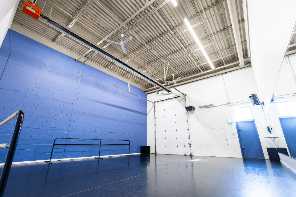 Imperium studio bleu