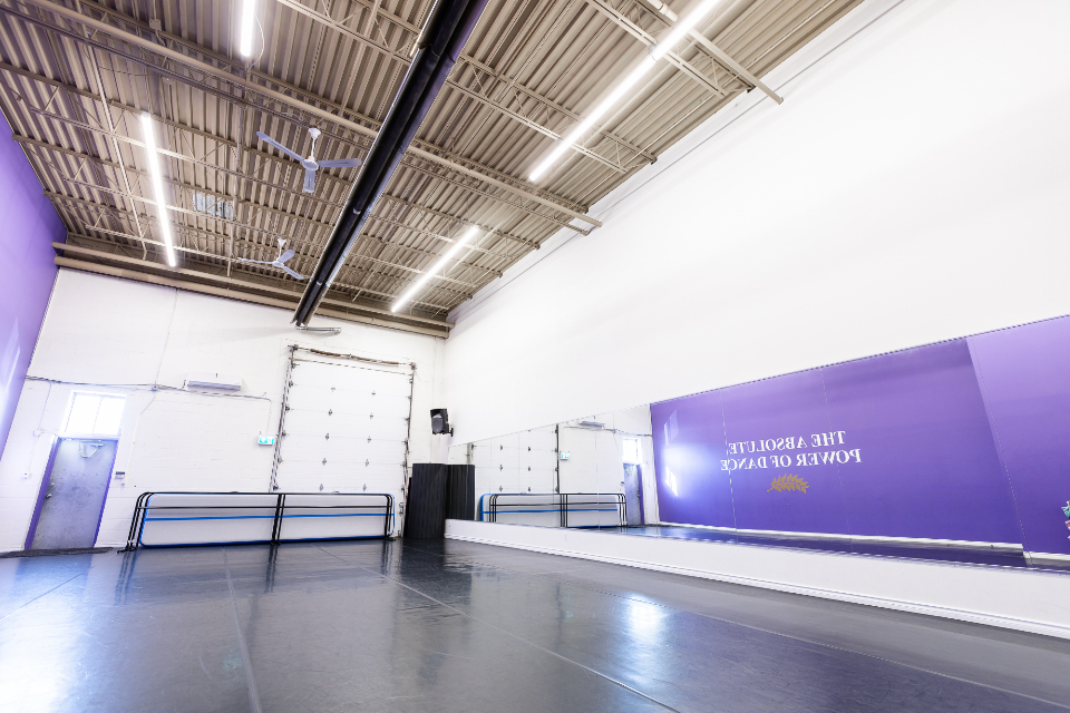 Imperium studio mauve